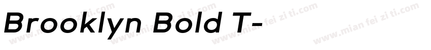Brooklyn Bold T字体转换